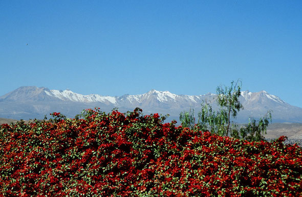Arequipa ist umgeben von schneebedeckten Bergen
