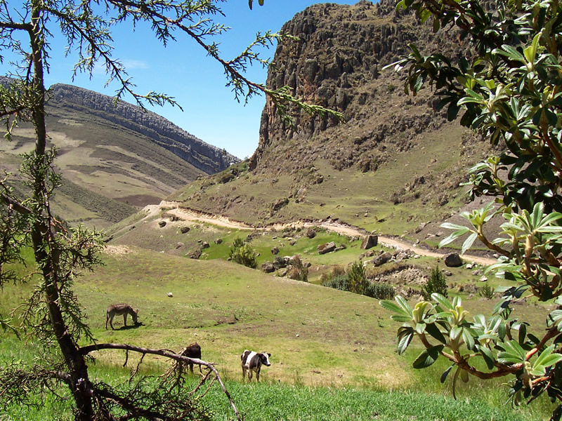 Fahrt durch die wunderschöne Landschaft bei Cajamarca
