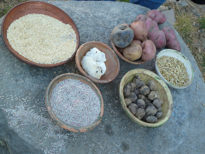 Peruanische Küche, peruanische Zutaten