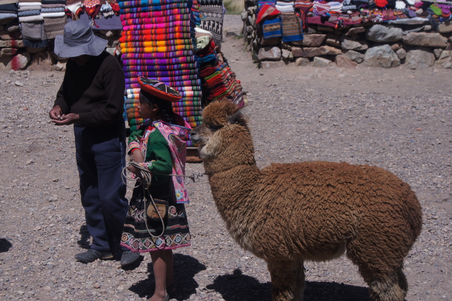 Peru: Mädchen mit Alpaca auf der Fahrt nach Puno