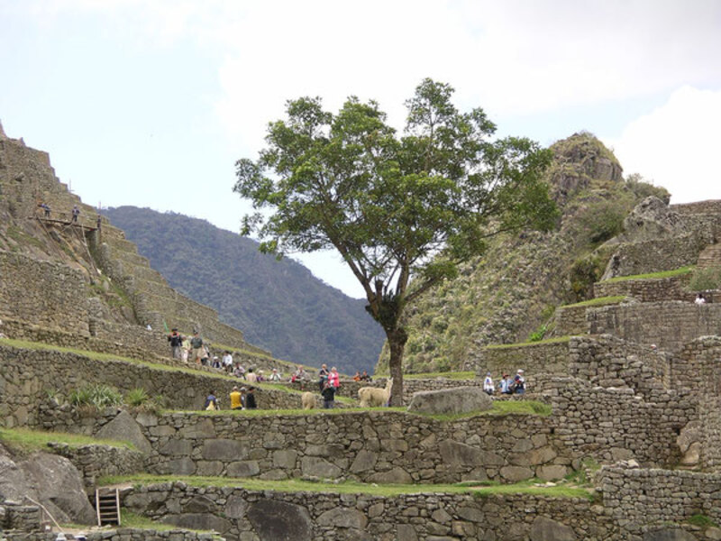 Machu Picchu erleben Sie besonders intensiv mit einer Übernachtung in Aguas Calientes