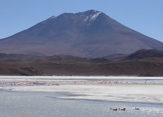 Laguna Hedionda und die Flamingos, eines der vielen tollen Erlebnisse auf der Uyuni-Salzsee-Tour