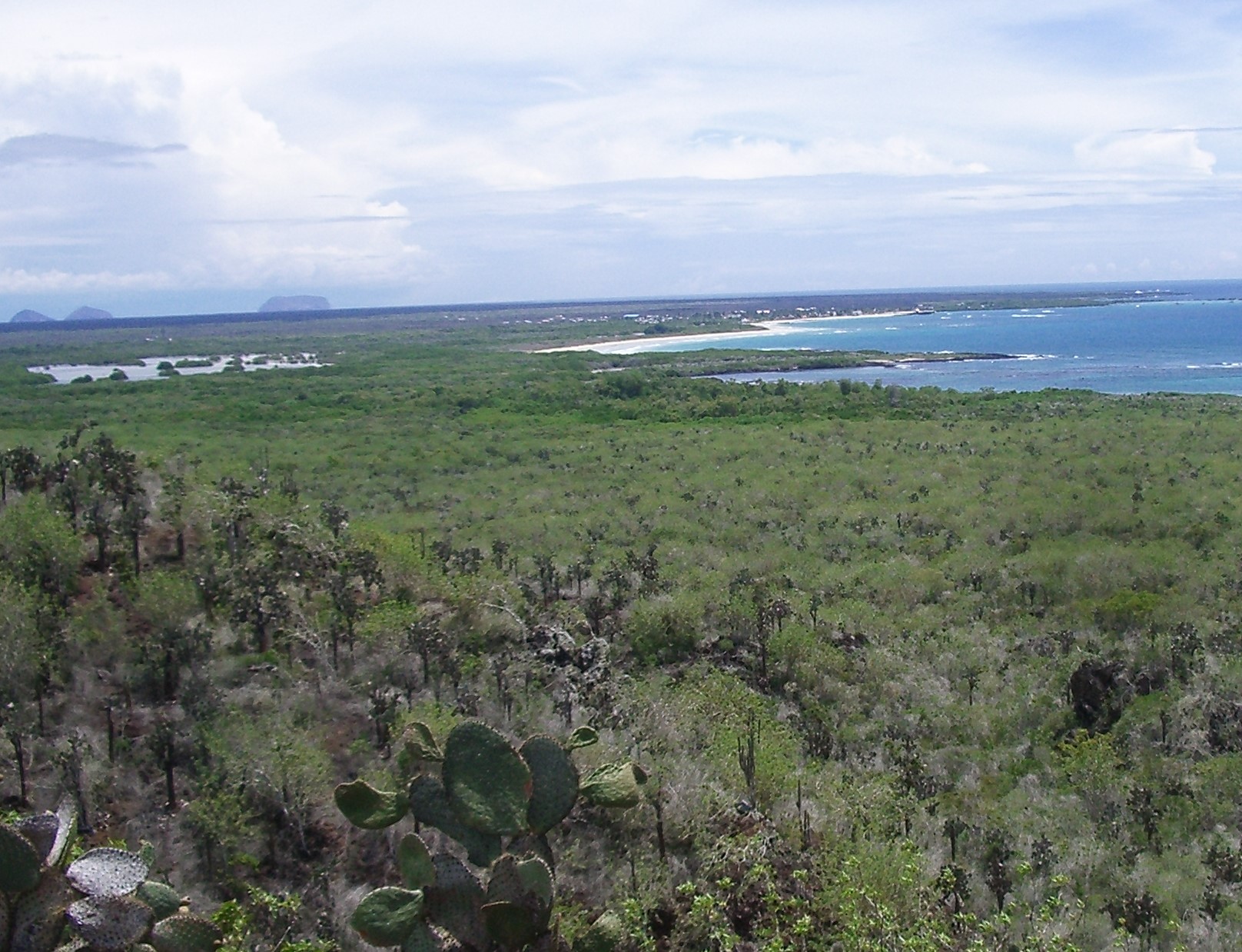 Ausflüge auf der Insel Isabela, Galapagos