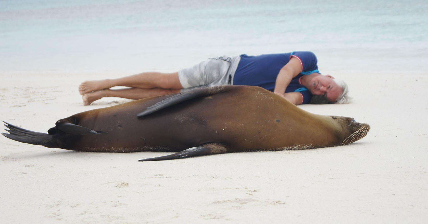 Hotels auf den Galapagos Inseln: Schlafen Sie bequem und ungestört!