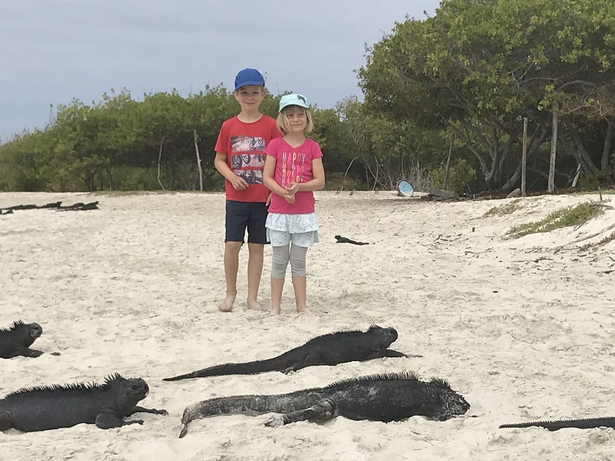 Galapagos Inseln mit Kindern: umzingelt von kleinen Drachen!