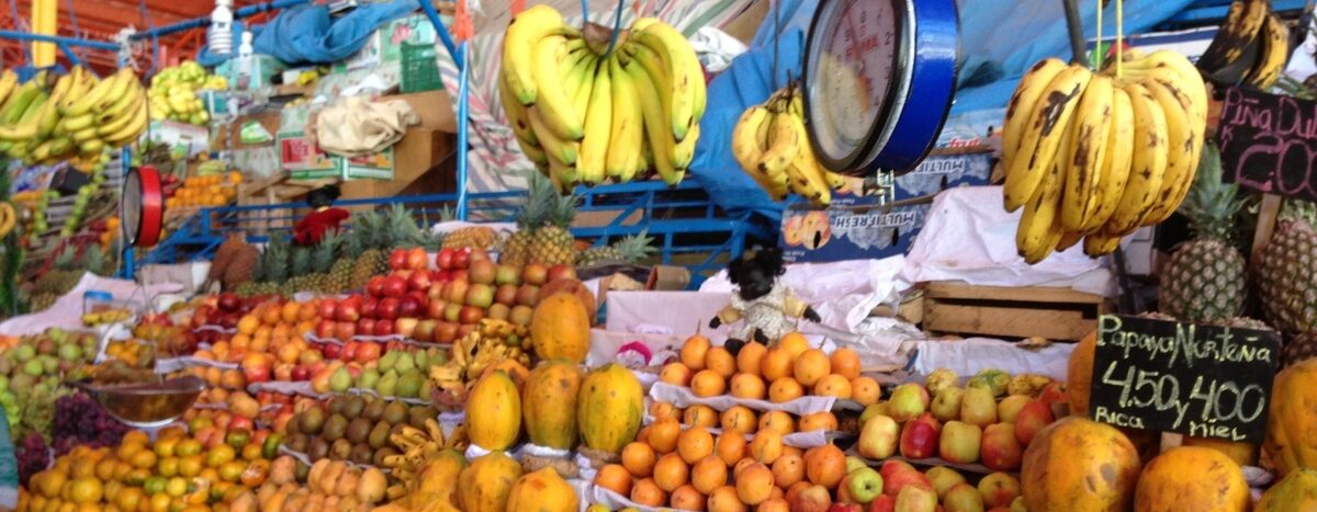 Peru Arequipa Markt Obst2 2