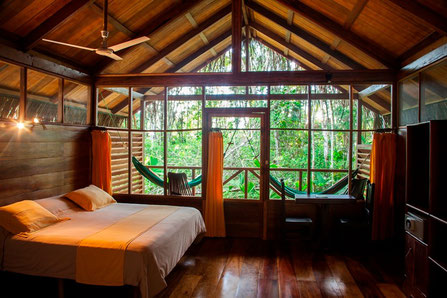 Sacha Lodge mitten im ecuadorianischen Amazonasgebiet