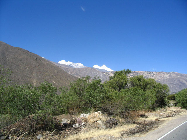 Auf dem Weg zur Trekkingreise nach Huaraz - weiße Gipfel der Cordillera Blanca