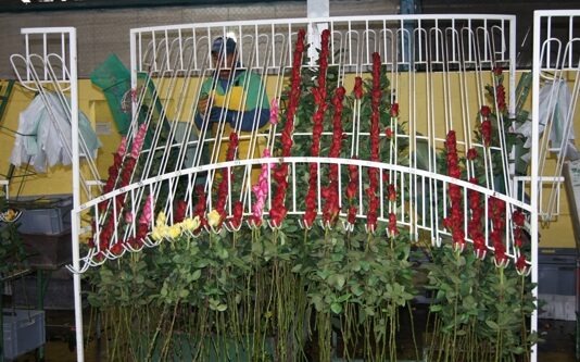 DSC07719
