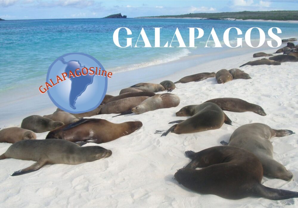 GALAPAGOS